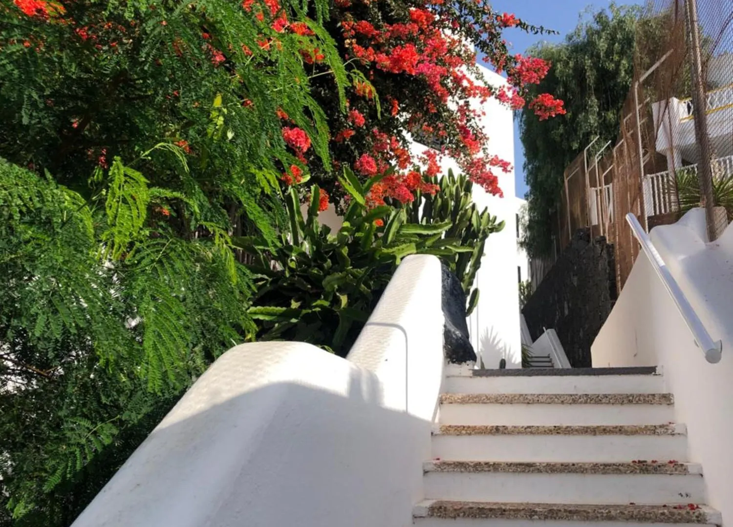 The Blue Dragon Apartment By The Port Puerto del Carmen   Puerto del Carmen (Lanzarote)