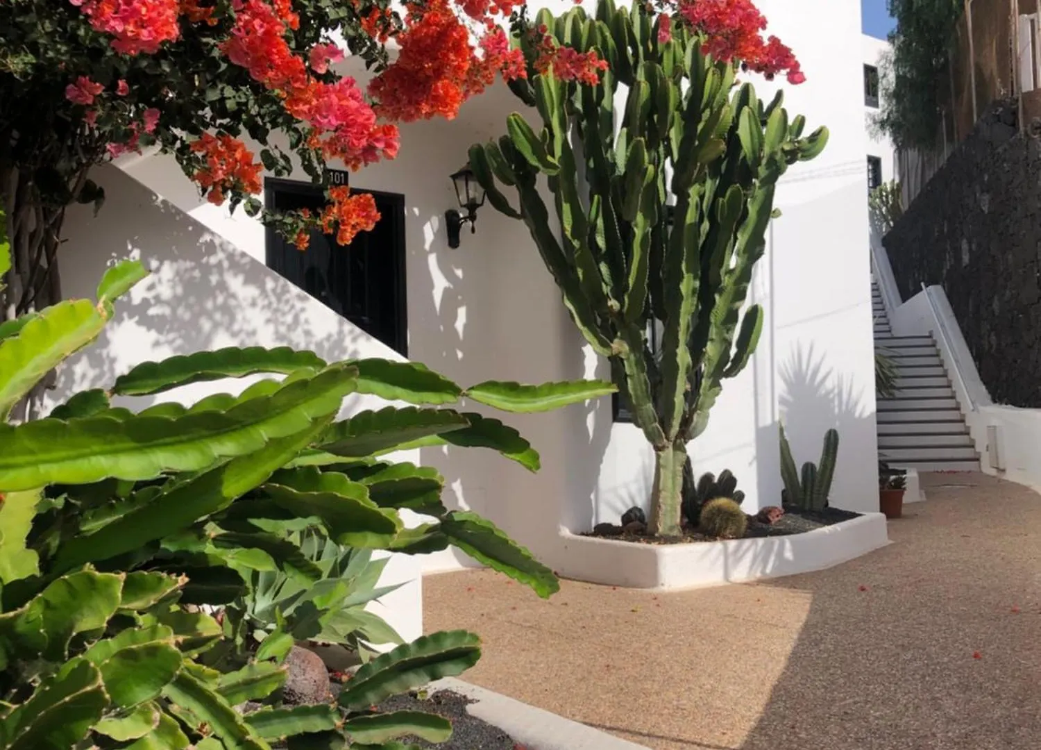 The Blue Dragon Apartment By The Port Puerto del Carmen